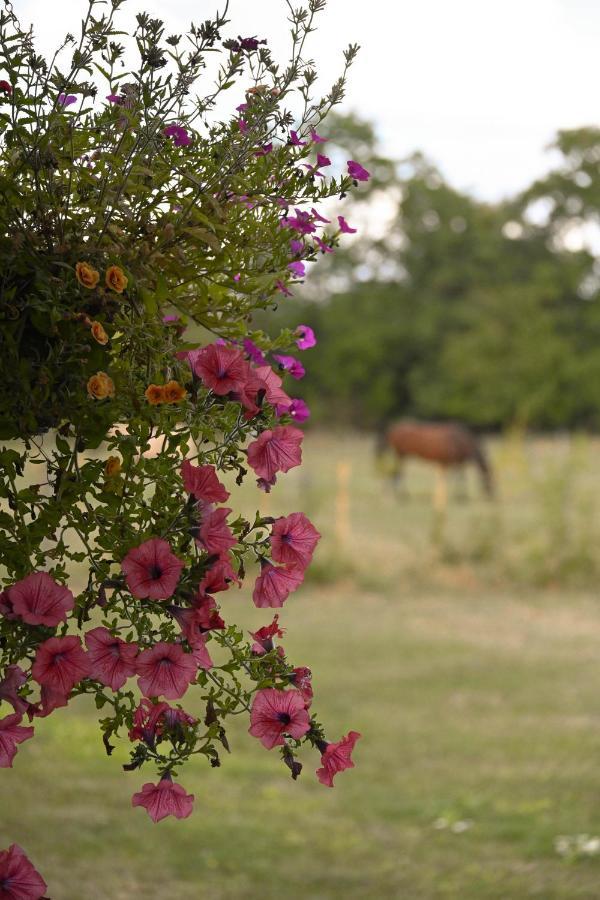 Sweet Pea Cabin Badsey ภายนอก รูปภาพ